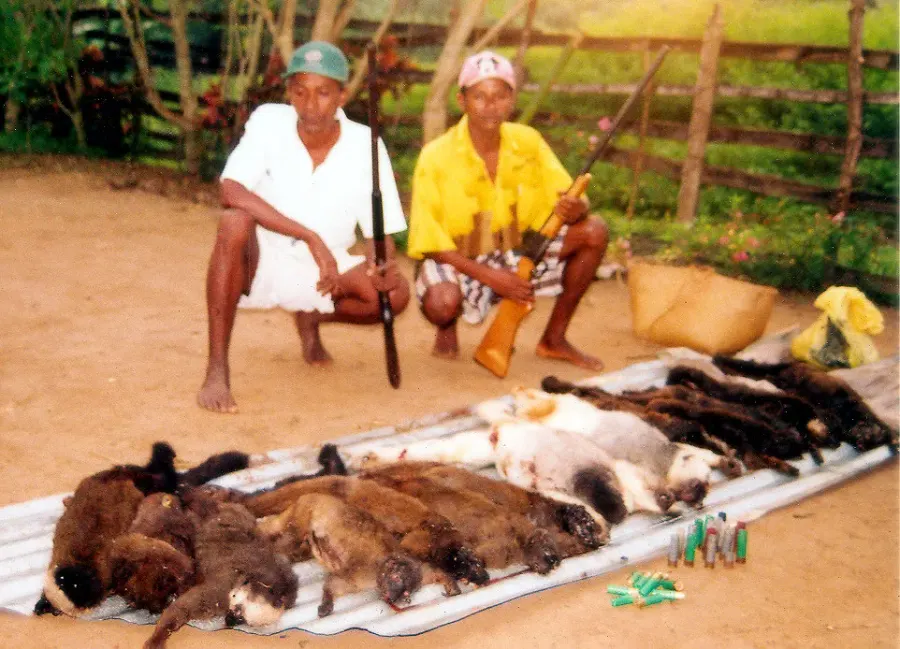 The Bushmeat card