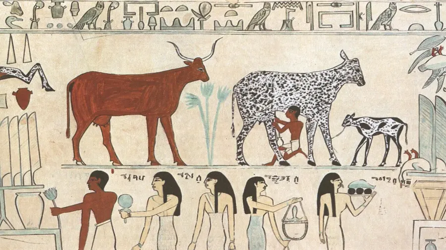 La carte Anthropozoologie