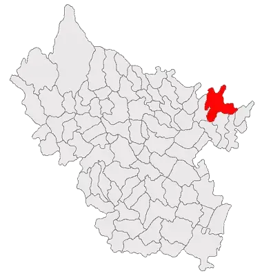 La carte Puiești