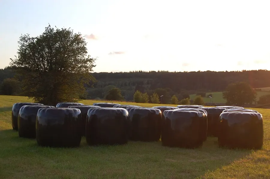 La carte Ensilage