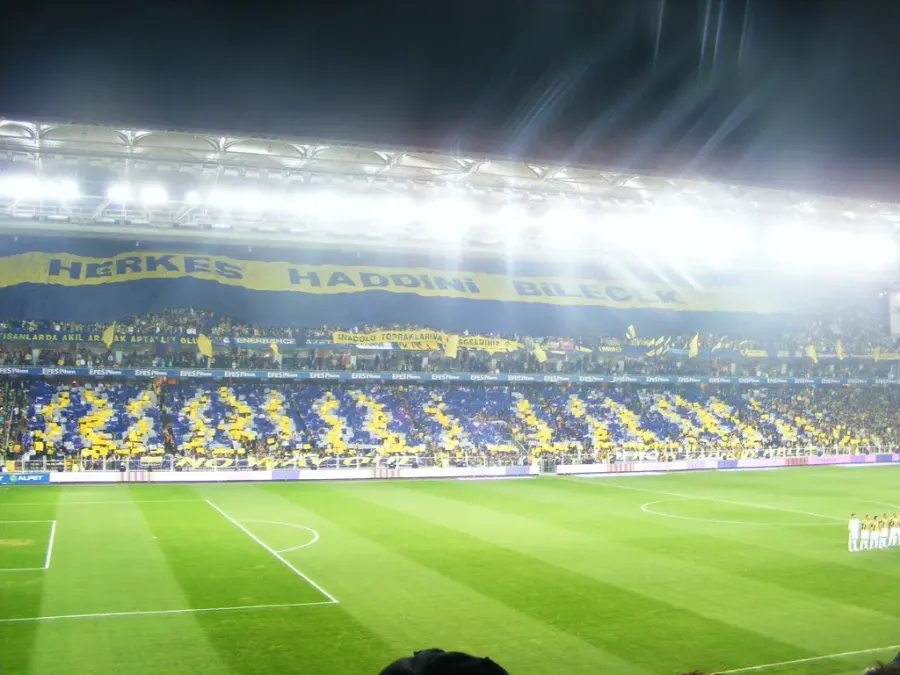 The Fenerbahçe S.K. card