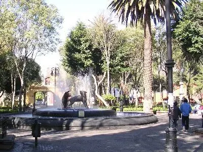 The Coyoacán card