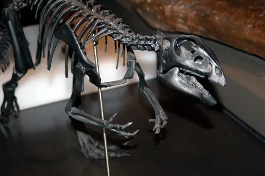 The Qantassaurus card
