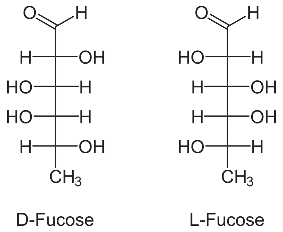 The Fucose card