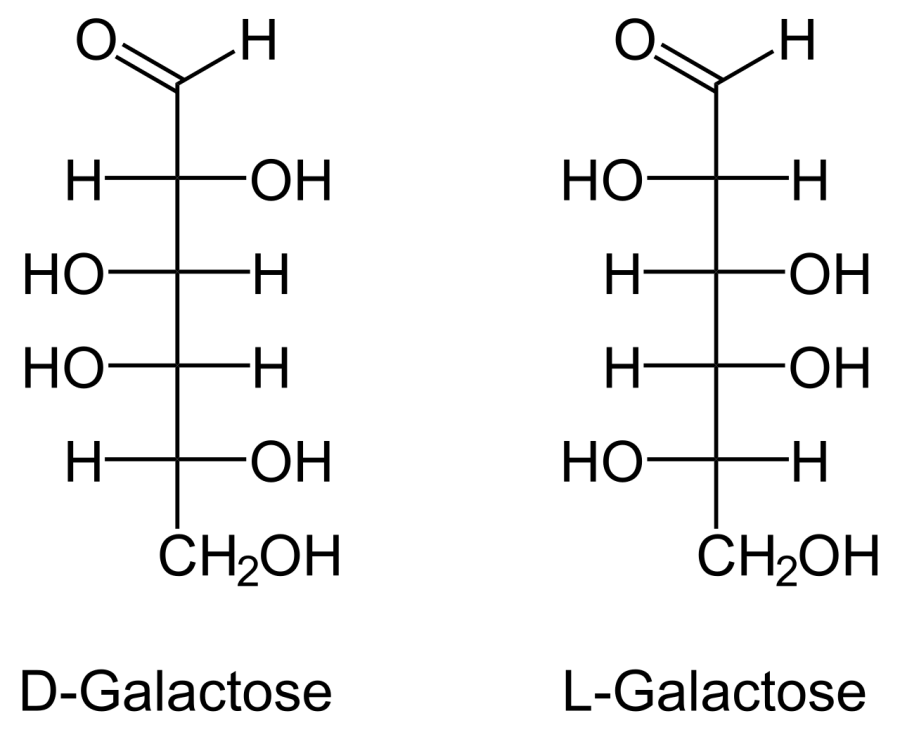 La carte Galactose