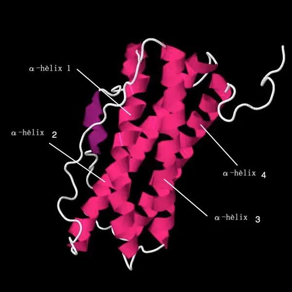 La carte Prolactine