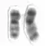The Chromosome 20 card