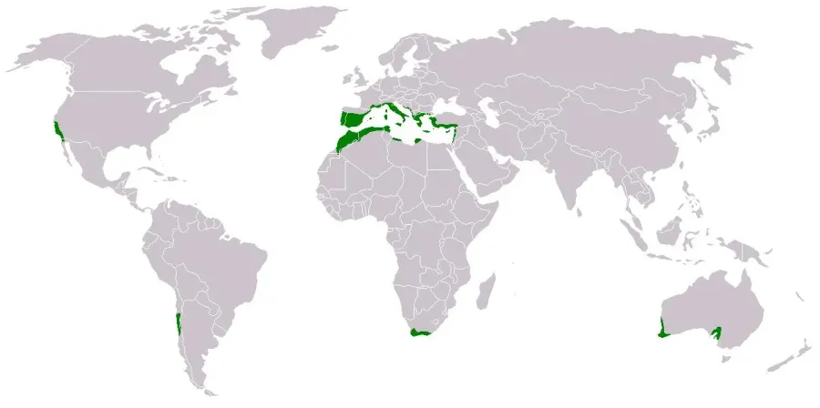 La carte Maquis