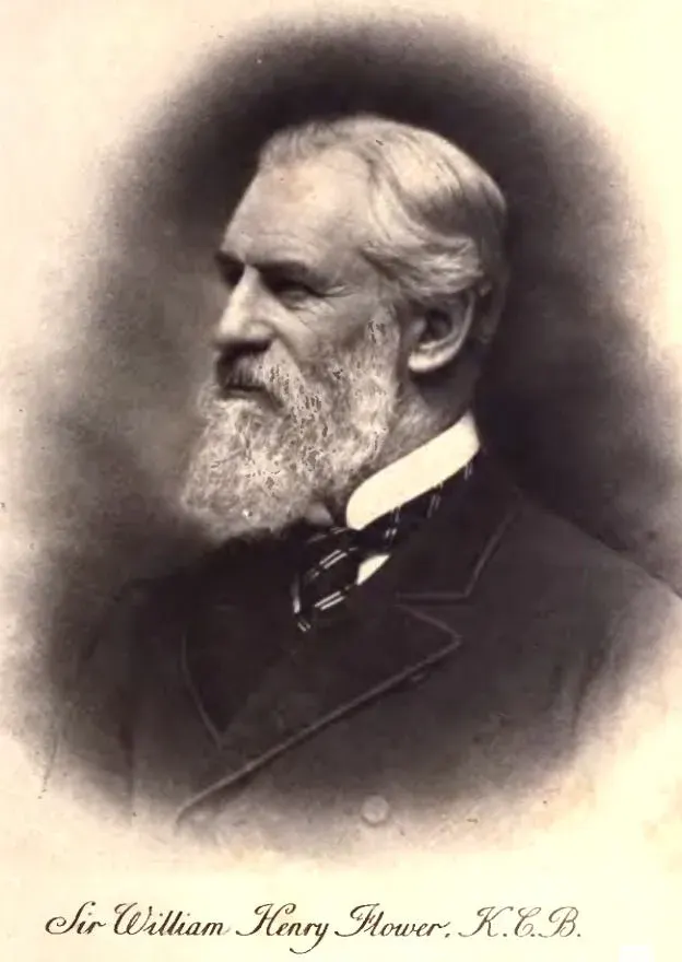 The William Henry Flower card