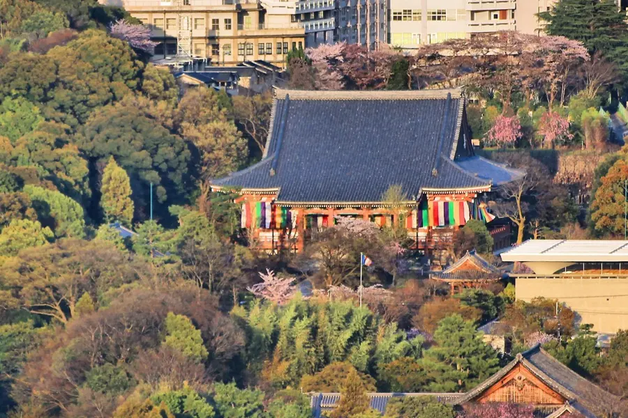 La carte Shingon-shū Chizan-ha