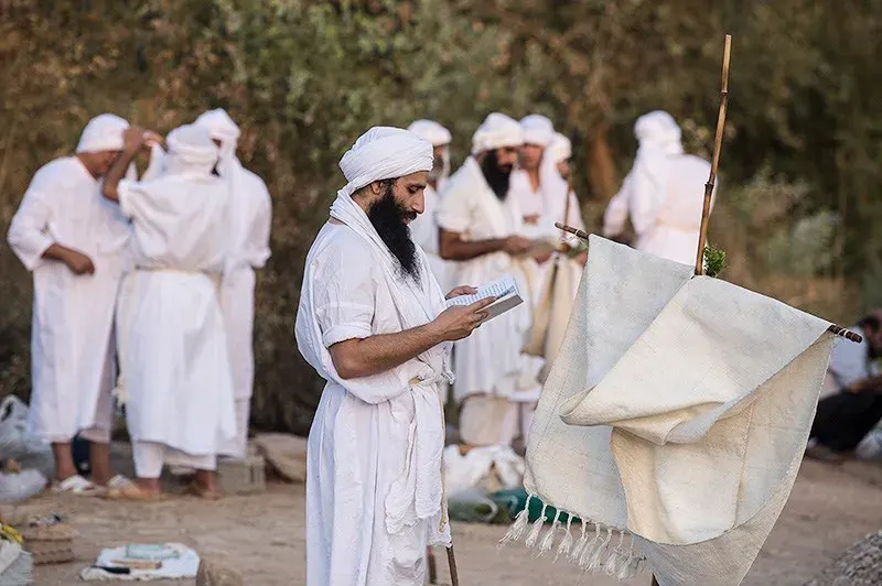 The Mandaeans card