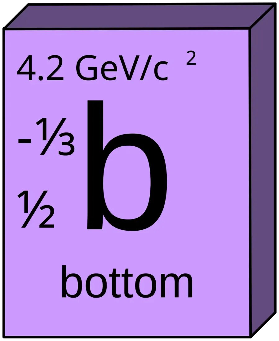 The Bottom quark card
