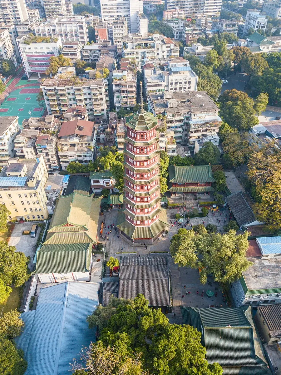 The Temple of the Six Banyan Trees card