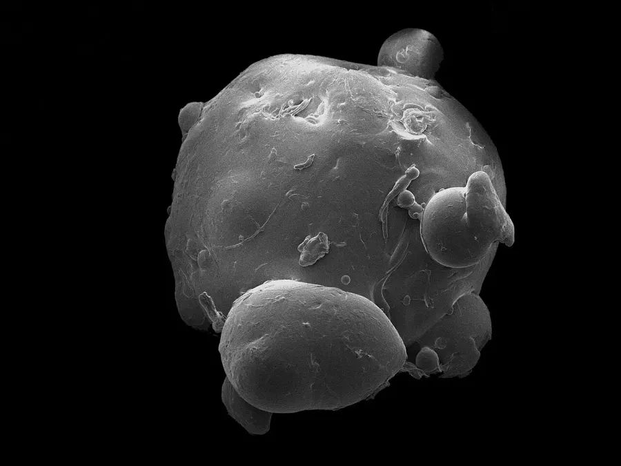 The Microbead card