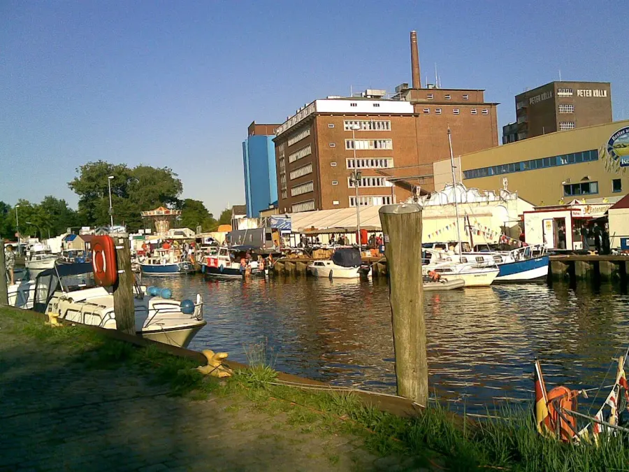 The Elmshorn card