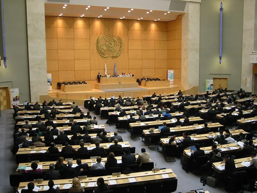 The World Summit on the Information Society card