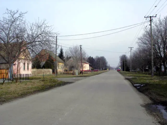 The Knićanin card