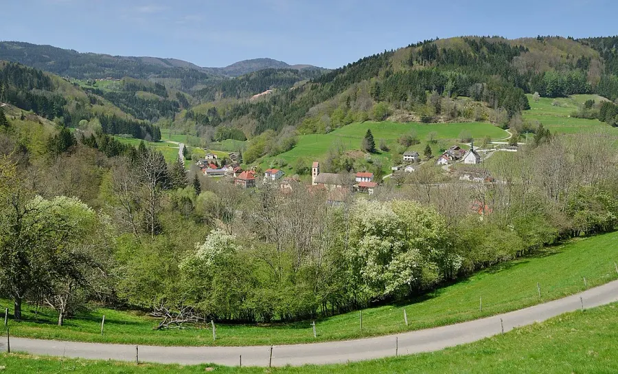 The Tegernau card