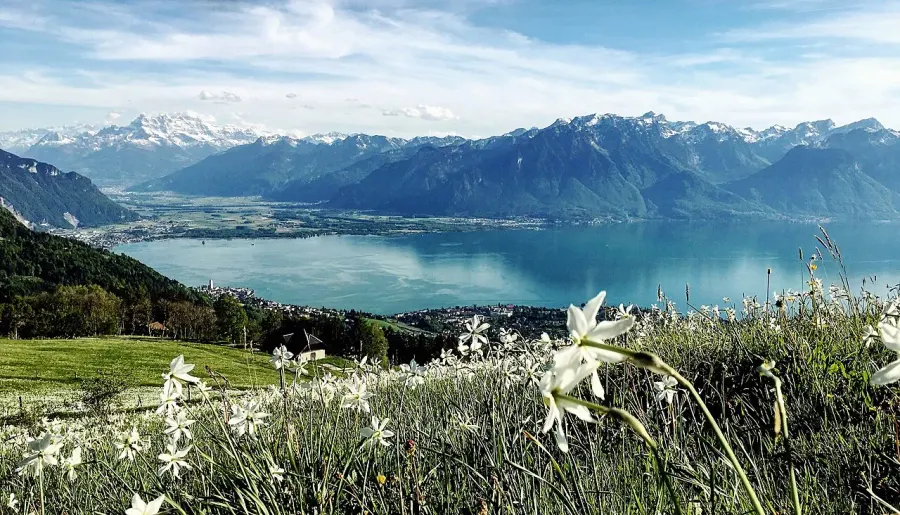 La carte Montreux