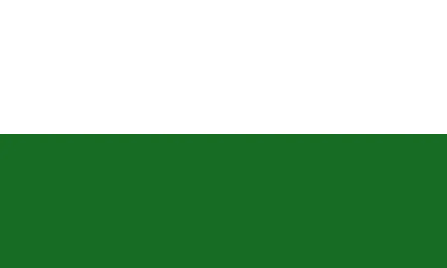 The Flag of Saxony card