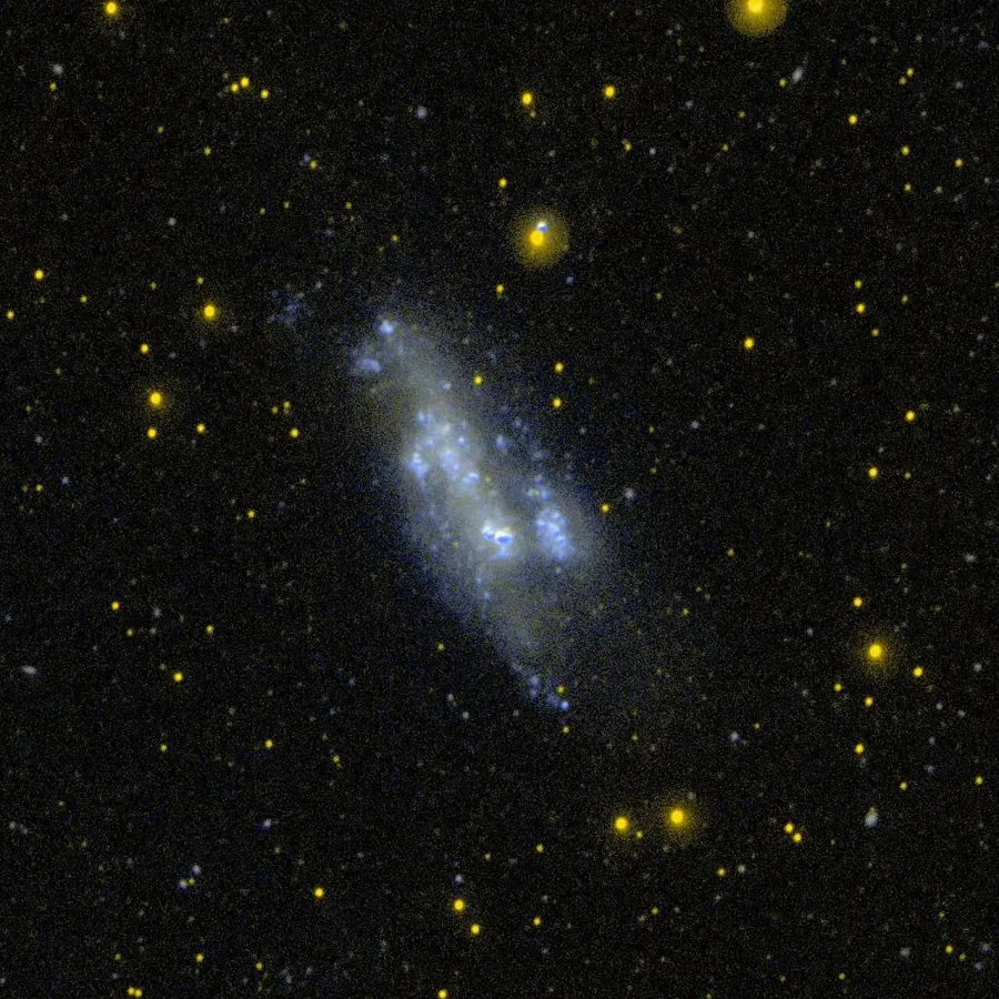 The NGC 2366 card