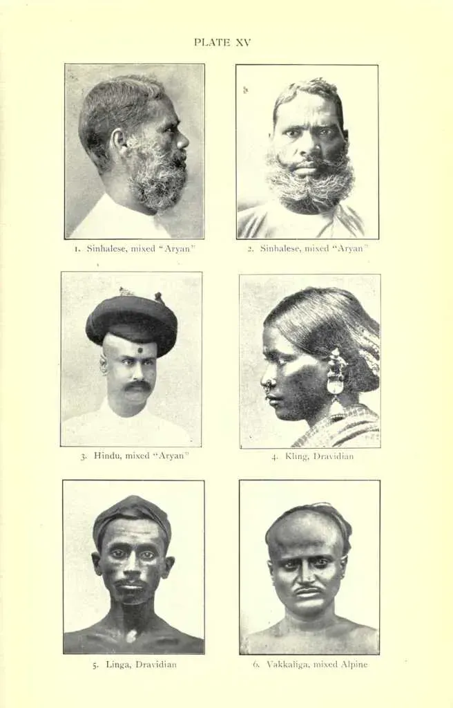 The Dravidian peoples card