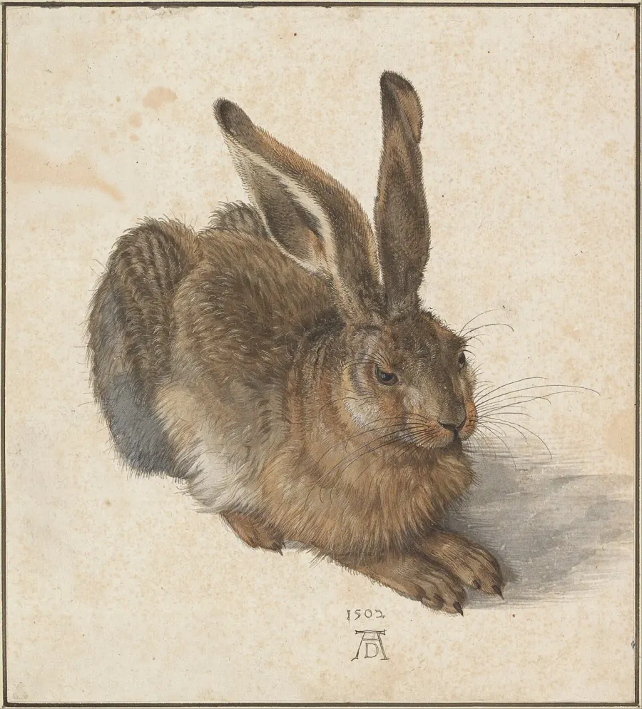 The Young Hare card