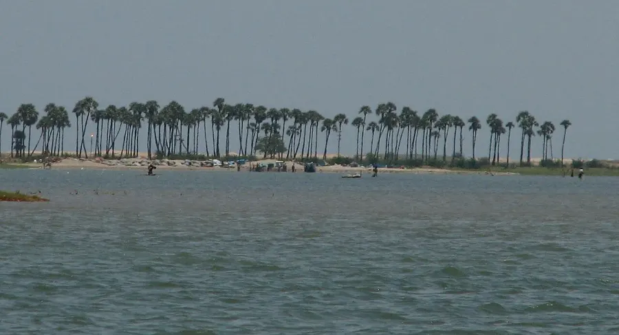 The Pulicat Lake card