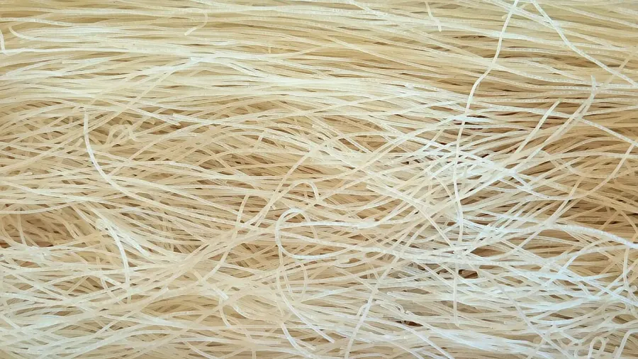 The Rice vermicelli card