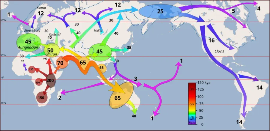 The Globalization card