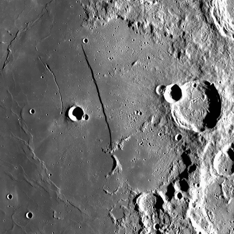 The Rupes Recta card