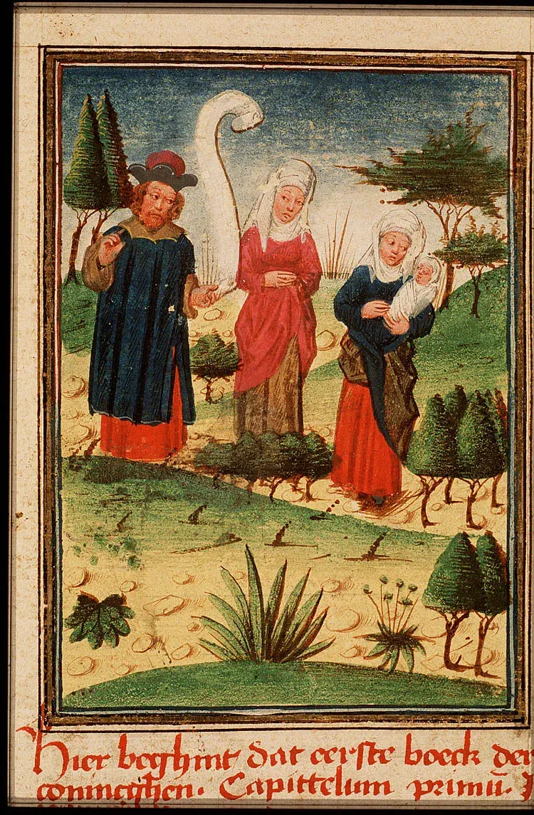 La carte Bigamie
