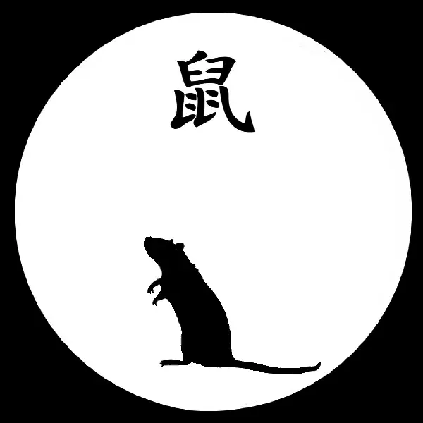 La carte Rat