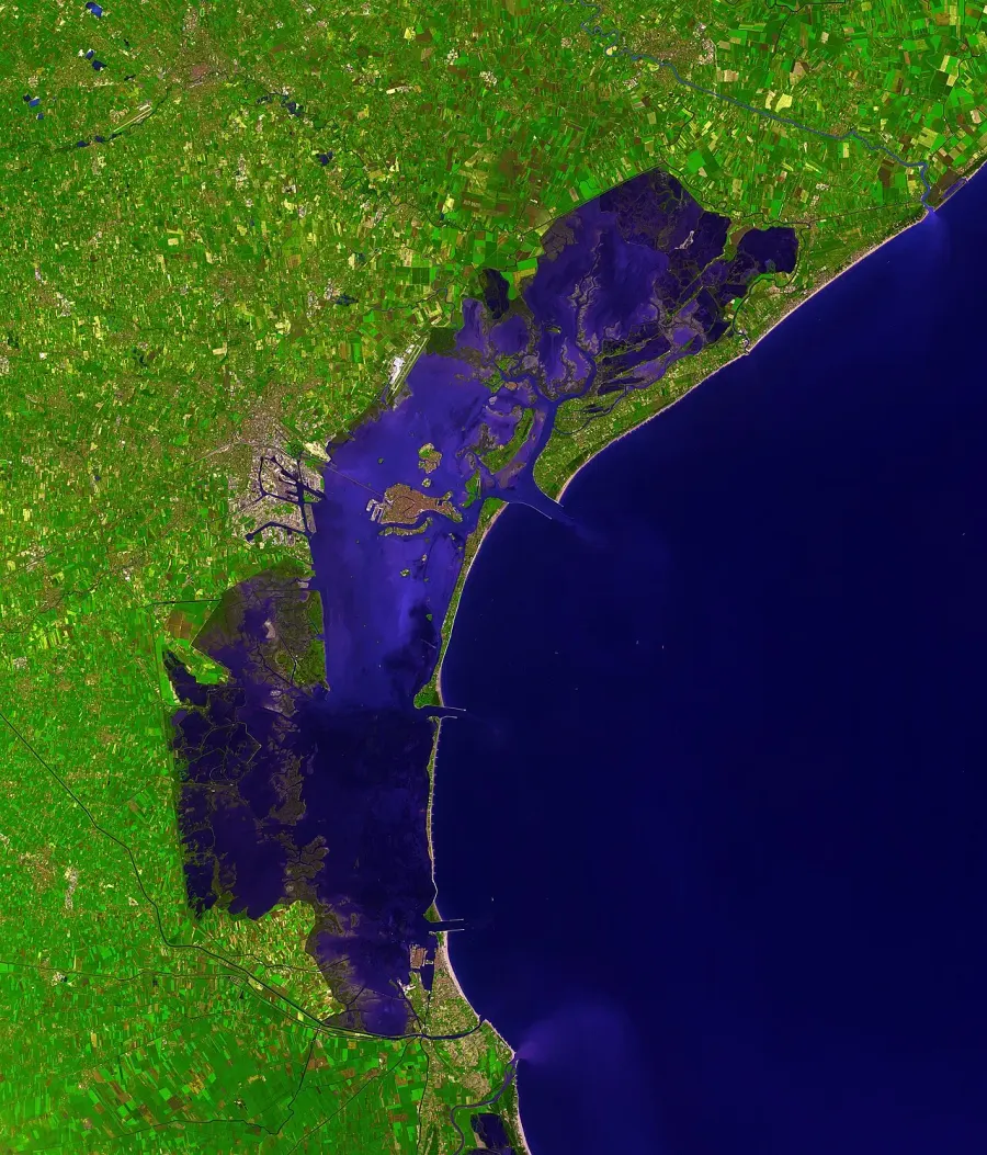 The Satellite imagery card