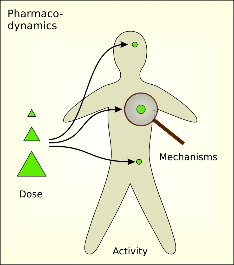 La carte Pharmacodynamique