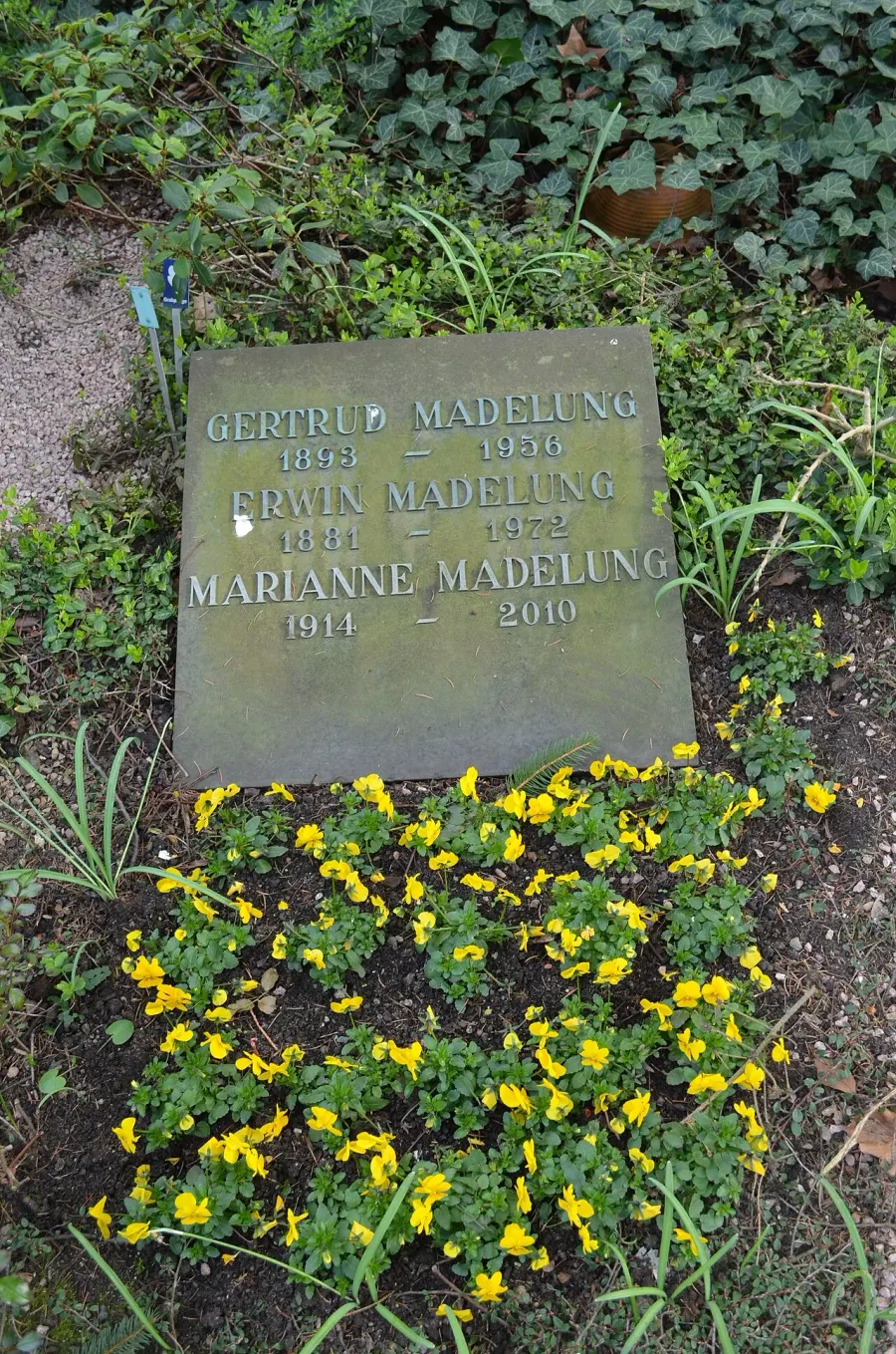 The Erwin Madelung card