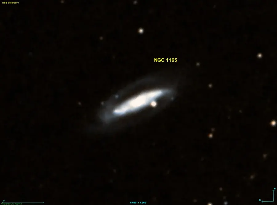 La carte NGC 1165