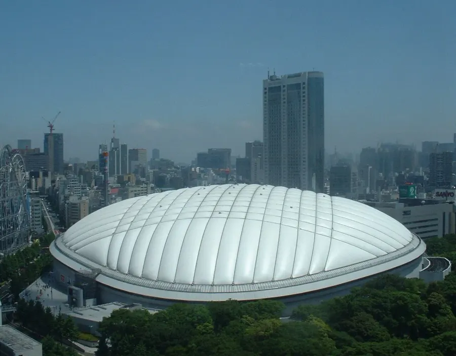 The Tokyo Dome card