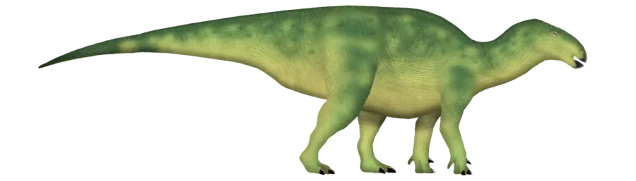 La carte Lanzhousaurus