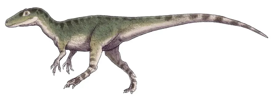 La carte Magnosaurus