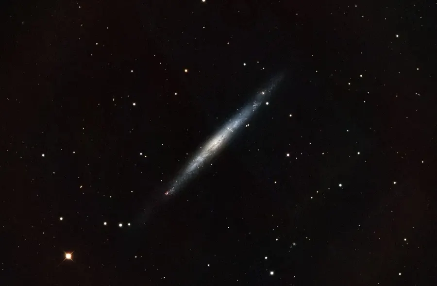 The NGC 4244 card