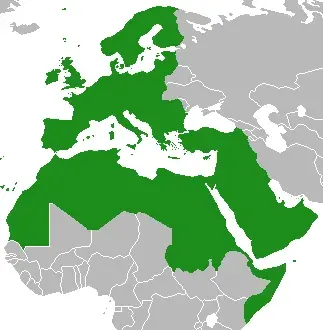 The Eurabia conspiracy theory card