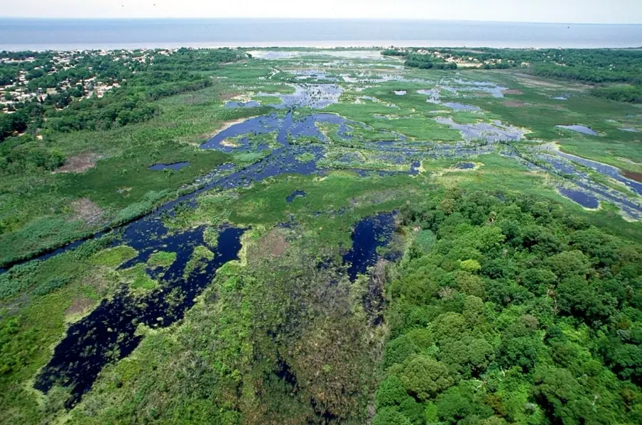 La carte Écologie du paysage