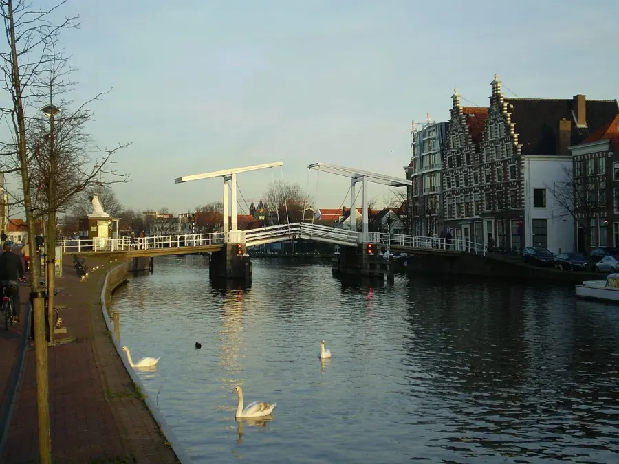 The Spaarne card