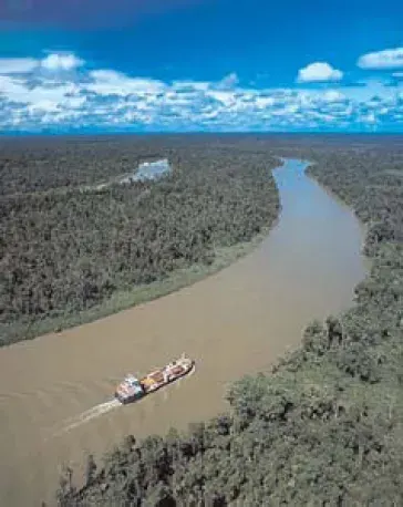 The Fly River card