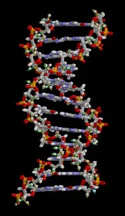 The DNA card