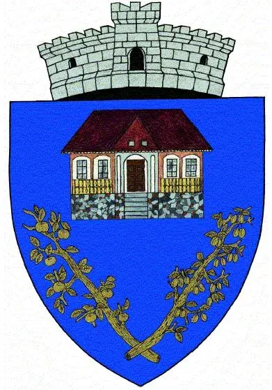 The Chiojdeanca card