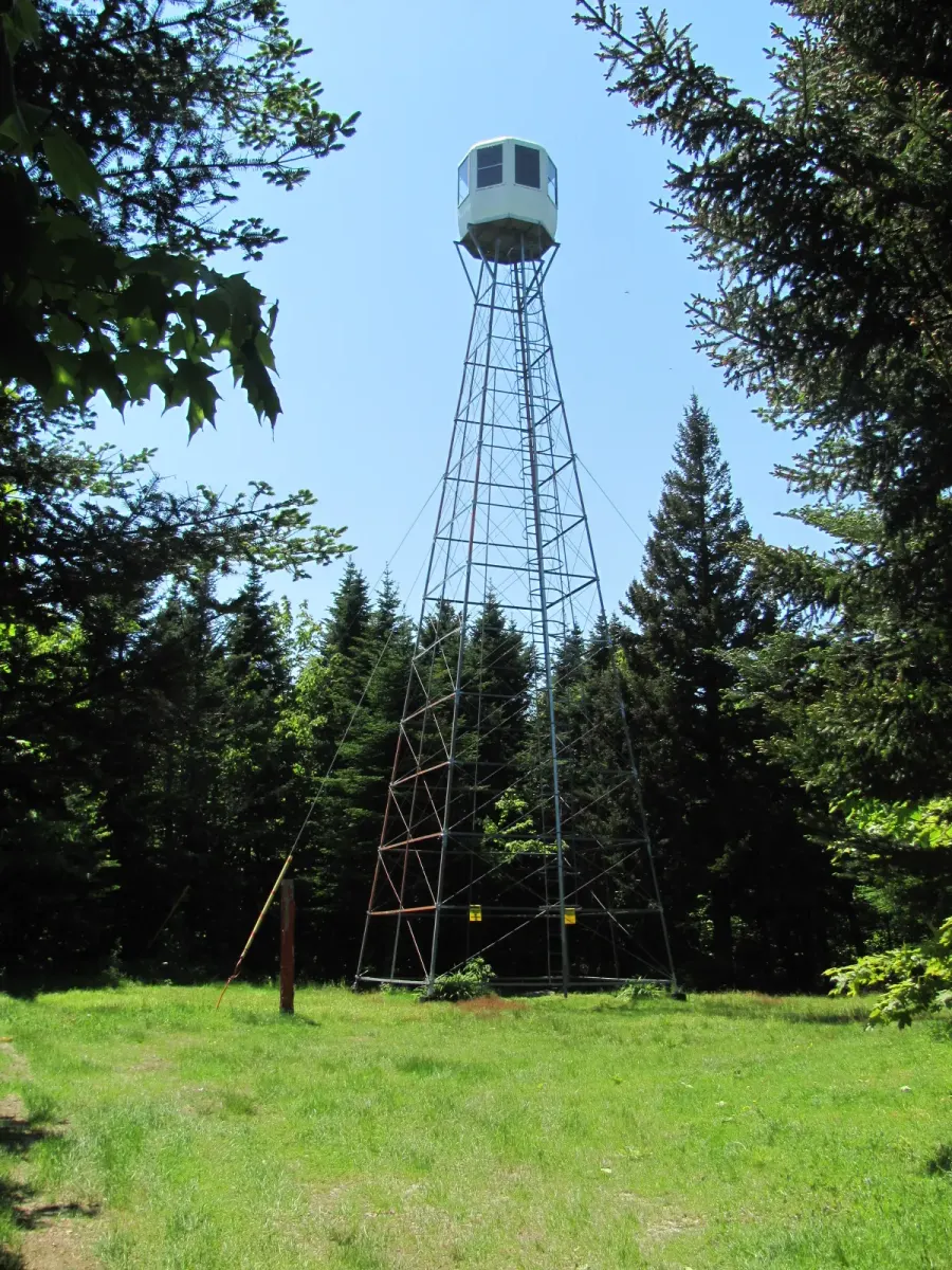 The Fire lookout tower card