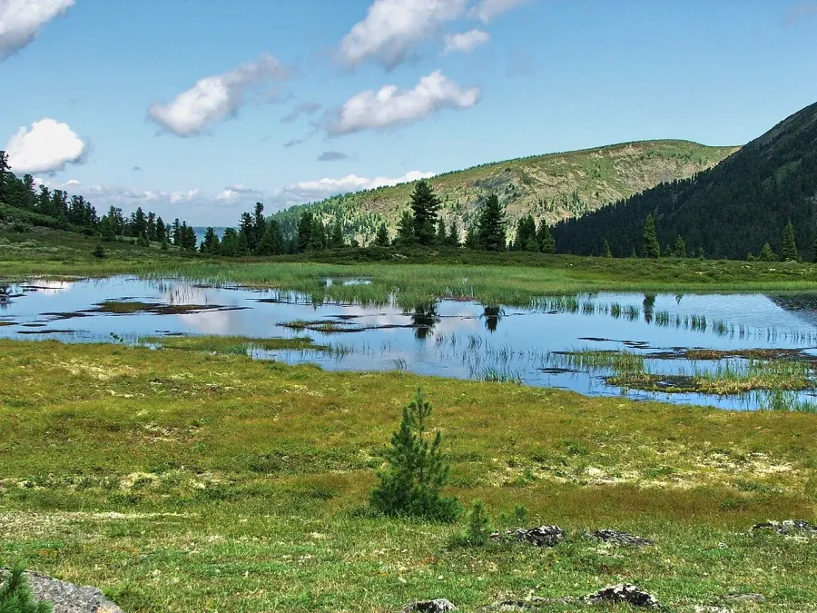 The Baikal Nature Reserve card