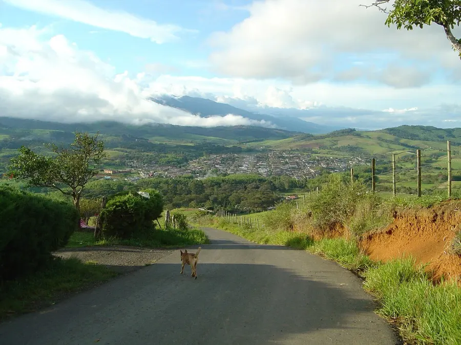 The Restrepo, Valle del Cauca card